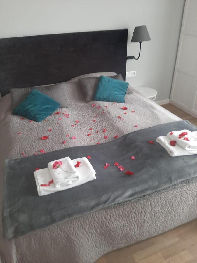 Stary Toruń Apartamenty Koci Ogon מראה חיצוני תמונה
