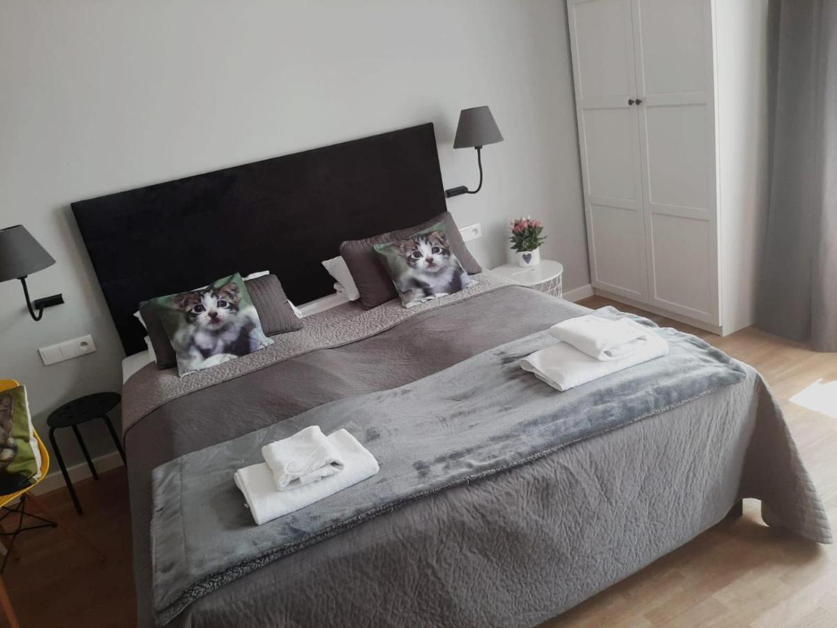 Stary Toruń Apartamenty Koci Ogon מראה חיצוני תמונה